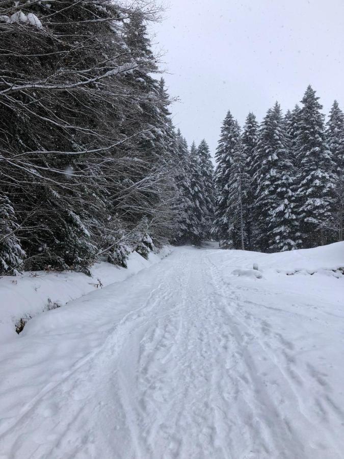Studio Fondue Chocolat, 100M Des Pistes Wifi Fibre, Parking Prive Bernex Exteriér fotografie